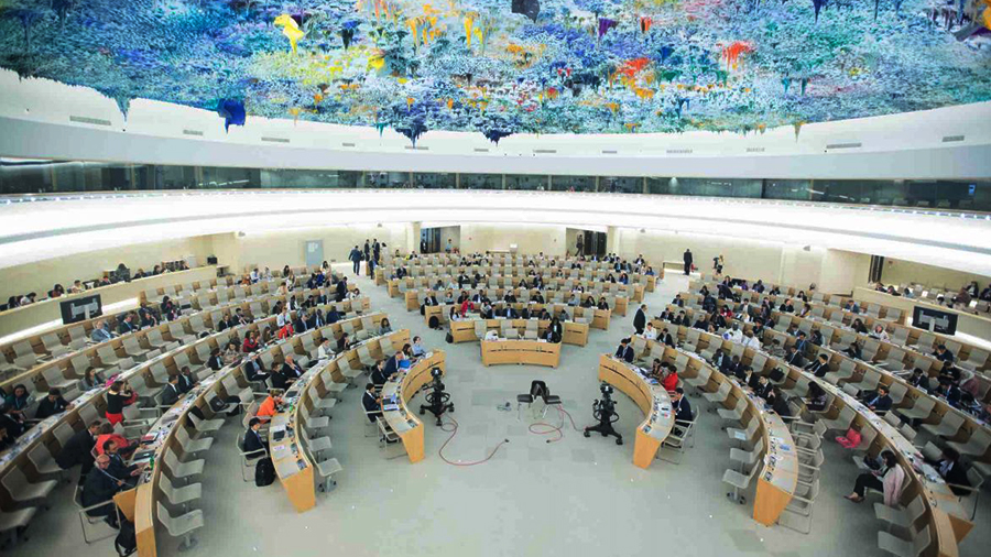 مجلس حقوق الإنسان يشكل لجنة تقصي الحقائق