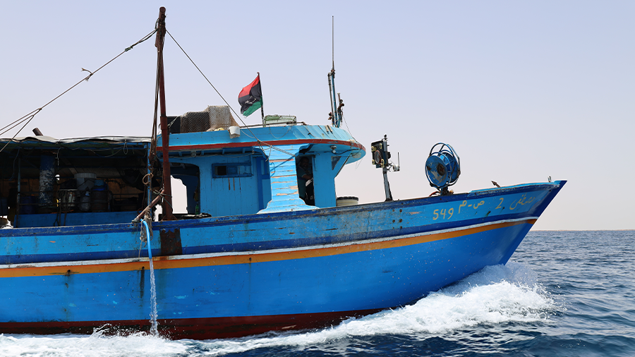 شباك الفتحات الصغيرة المحظورة تدمّر التنوع البيولوجي على السواحل الليبية