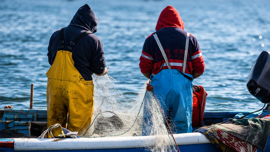 وزارة الثروة البحرية تُحذّر الصيادين ومرتادي البحر